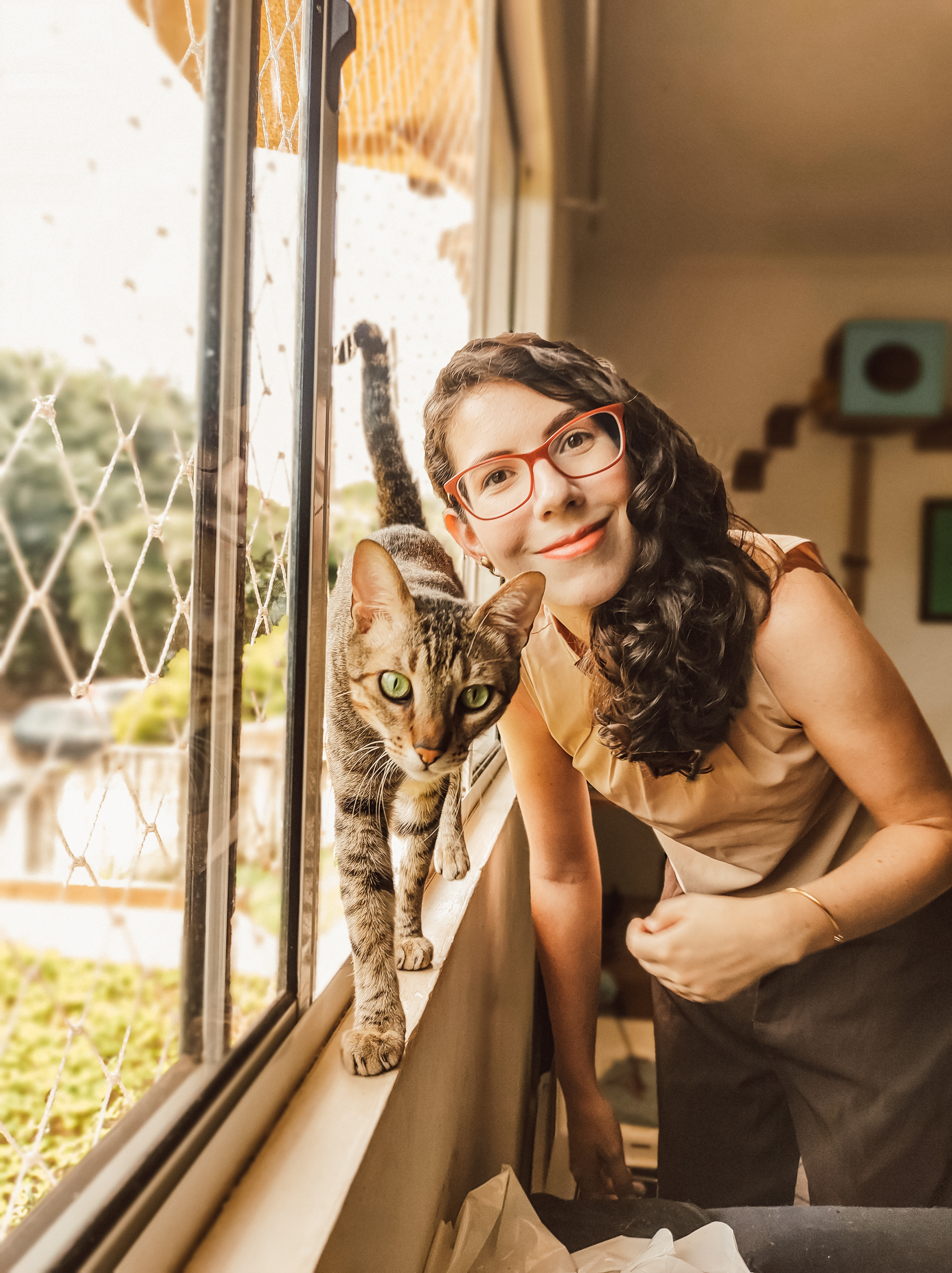 Tutora dando comida ao gato